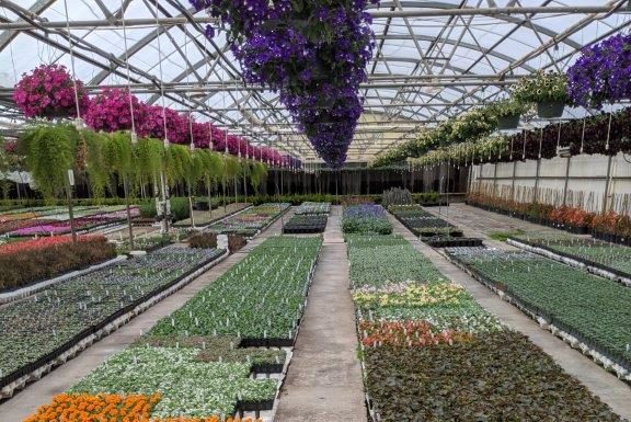 No Time Like the Present to Spend Conservatively