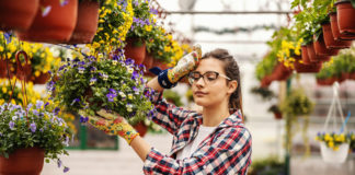 Is It Time to Move on from Your Business? Young hardworking female nursery garden worker