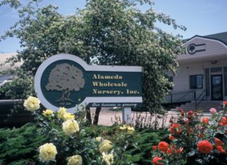 75 Years of Supplying High-Quality Nursery Products alameda nursery sign