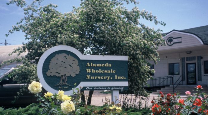 75 Years of Supplying High-Quality Nursery Products alameda nursery sign