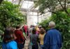 Tropical Indoor & Native Outdoor Gardens for Insects