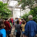 Tropical Indoor & Native Outdoor Gardens for Insects