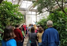 Tropical Indoor & Native Outdoor Gardens for Insects