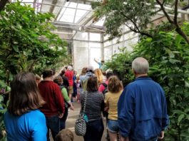 Tropical Indoor & Native Outdoor Gardens for Insects