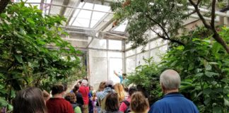 Tropical Indoor & Native Outdoor Gardens for Insects