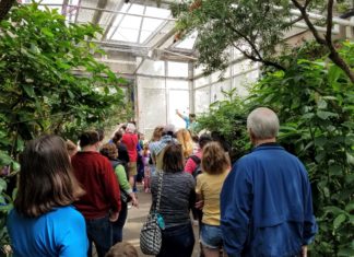 Tropical Indoor & Native Outdoor Gardens for Insects