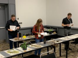 Training for CNGA members – Certification and Beyond certification process