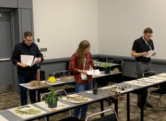 Training for CNGA members – Certification and Beyond certification process