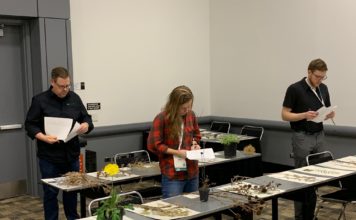 Training for CNGA members – Certification and Beyond certification process