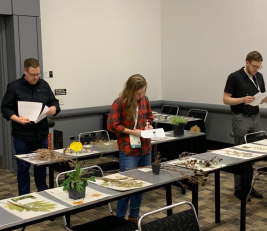 Training for CNGA members – Certification and Beyond certification process