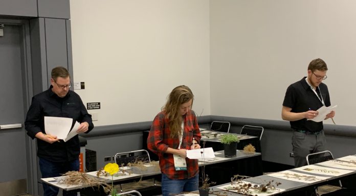 Training for CNGA members – Certification and Beyond certification process