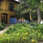 2020 Landscape Design Trends