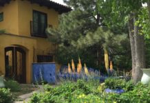 2020 Landscape Design Trends