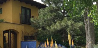 2020 Landscape Design Trends