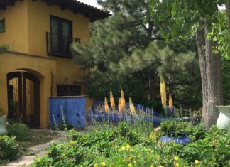 2020 Landscape Design Trends