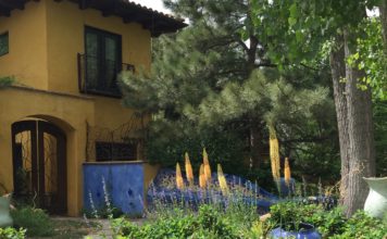 2020 Landscape Design Trends