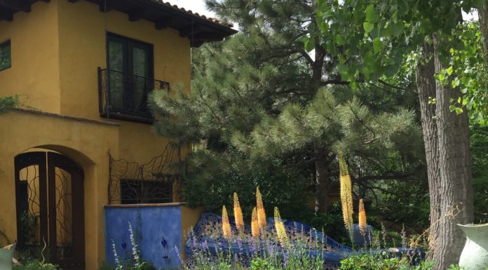 2020 Landscape Design Trends