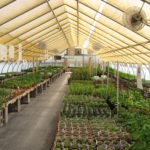 Expectations & Plans for 2021