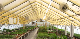 Expectations & Plans for 2021