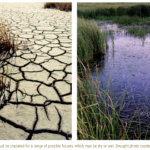 The Colorado Water Plan