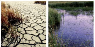 The Colorado Water Plan