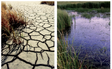 The Colorado Water Plan