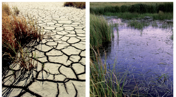 The Colorado Water Plan