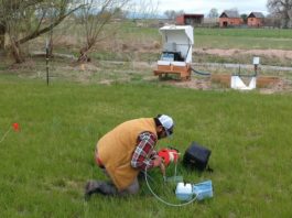 Colorado Regulation 85 and Large-Scale Plant Growers