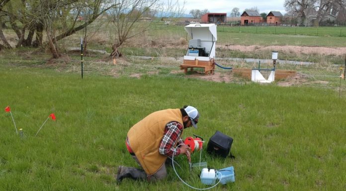 Colorado Regulation 85 and Large-Scale Plant Growers