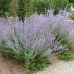 5 Most Common Customer Questions