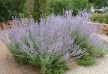 5 Most Common Customer Questions