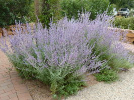 5 Most Common Customer Questions