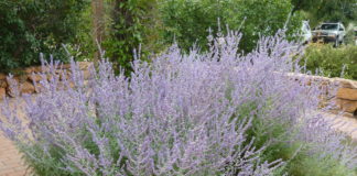 5 Most Common Customer Questions