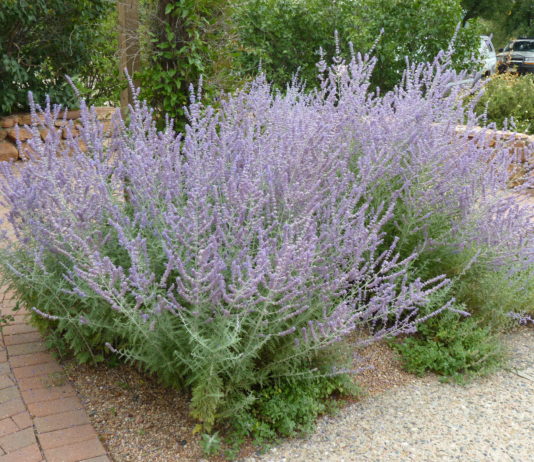 5 Most Common Customer Questions