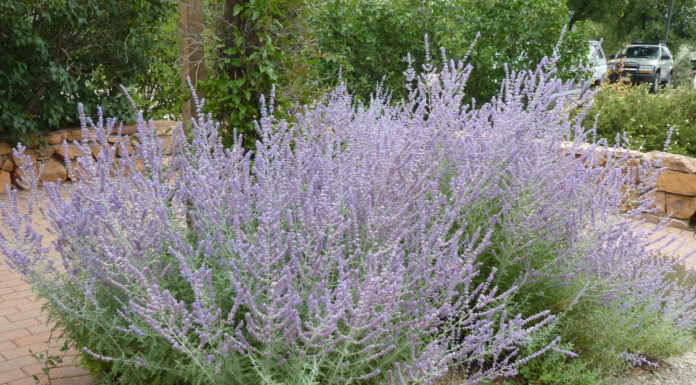 5 Most Common Customer Questions