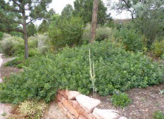 What Customers Need to Know before Plant Purchases