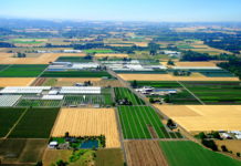 Woodburn Nursery and Azaleas, Inc.: A Strong Commitment to High-Quality Plants