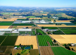 Woodburn Nursery and Azaleas, Inc.: A Strong Commitment to High-Quality Plants