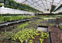 AWG, Inc., All Weather Greenhouse: Strongest, Longest-Lasting, Most Efficient Greenhouse Systems