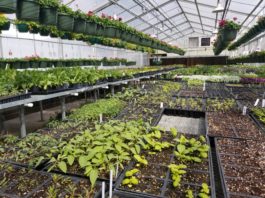 AWG, Inc., All Weather Greenhouse: Strongest, Longest-Lasting, Most Efficient Greenhouse Systems