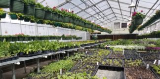 AWG, Inc., All Weather Greenhouse: Strongest, Longest-Lasting, Most Efficient Greenhouse Systems