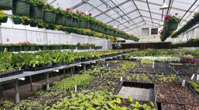 AWG, Inc., All Weather Greenhouse: Strongest, Longest-Lasting, Most Efficient Greenhouse Systems