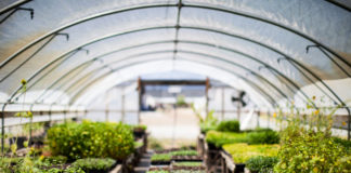 Understanding Your Insurance Policy