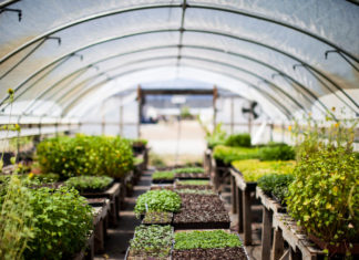 Understanding Your Insurance Policy