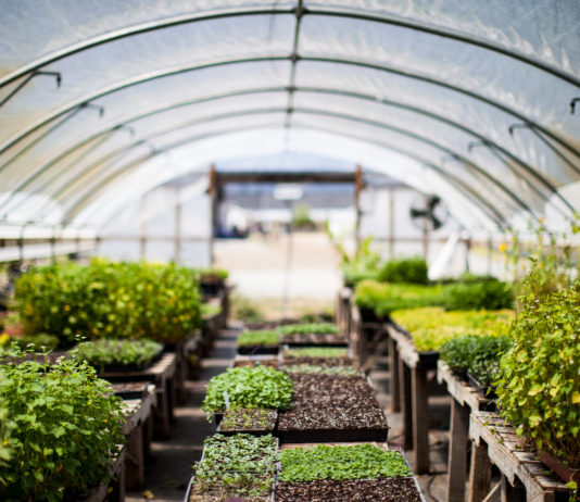 Understanding Your Insurance Policy