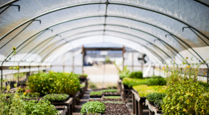 Understanding Your Insurance Policy