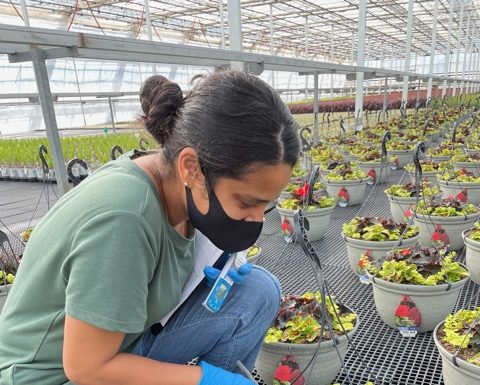 Diverse Employees Thrive in the Green Industry