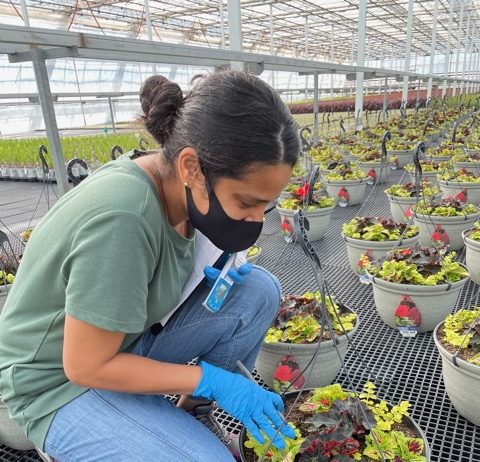 Diverse Employees Thrive in the Green Industry