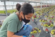 Diverse Employees Thrive in the Green Industry