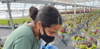 Diverse Employees Thrive in the Green Industry